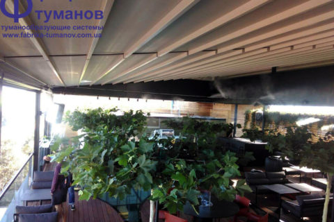 Сафари Атриум F 6