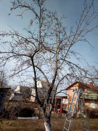 изображение_viber_2021-01-18_15-06-53