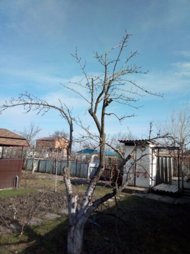 изображение_viber_2021-01-18_15-06-54